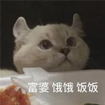 云溪溪的头像-藏娇楼